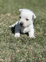 processed/7f0fa155-48fc-4603-ab86-5825409da97c/listing/7416ef59-5bab-476a-9a9b-177d72d409a0/fb2e06f6-a250-4d92-806c-63e772218696