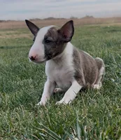 processed/7f0fa155-48fc-4603-ab86-5825409da97c/listing/8df62a40-5e94-4fe5-881b-e2694dd53acb/9429fa29-9494-43de-ad9f-316cb2b85265