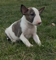 processed/7f0fa155-48fc-4603-ab86-5825409da97c/listing/8df62a40-5e94-4fe5-881b-e2694dd53acb/9b436a16-f641-470b-be7f-eab1bf8c45d0