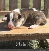 processed/7f0fa155-48fc-4603-ab86-5825409da97c/listing/924ff8fc-865c-4762-9ce0-0a369c966f3a/179b8468-a633-48f5-a55b-cd5a3e2c05a5