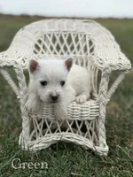 processed/7f0fa155-48fc-4603-ab86-5825409da97c/listing/dee6fc5a-fffc-4e4d-bae6-fe17f40c21c0/851c497d-10a3-4772-8764-0c2b2e0ba29d