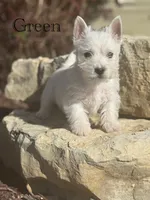 processed/7f0fa155-48fc-4603-ab86-5825409da97c/listing/dee6fc5a-fffc-4e4d-bae6-fe17f40c21c0/b9ca7c34-9f71-4423-9bfd-c7f201b5cefc