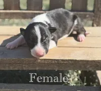 processed/7f0fa155-48fc-4603-ab86-5825409da97c/listing/df713259-d1a3-45fa-8978-3a5d32c8190a/1585fca5-0b86-4254-b604-02b6dc75caba