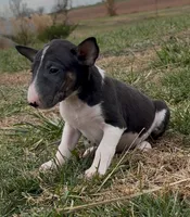 processed/7f0fa155-48fc-4603-ab86-5825409da97c/listing/df713259-d1a3-45fa-8978-3a5d32c8190a/54b56e83-183d-495d-ab68-589ddeafb81e