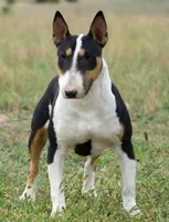 processed/7f0fa155-48fc-4603-ab86-5825409da97c/listing/e0497f4b-4df8-42ec-8635-0d4bdf3f3661/24d1137d-ad68-4206-a1e7-5ac60c02c9bf