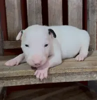 processed/7f0fa155-48fc-4603-ab86-5825409da97c/listing/e0497f4b-4df8-42ec-8635-0d4bdf3f3661/8455d2a5-eca8-418a-88ad-994815cfeaee