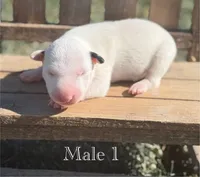 processed/7f0fa155-48fc-4603-ab86-5825409da97c/listing/e0497f4b-4df8-42ec-8635-0d4bdf3f3661/d9cd9727-3f2b-46bc-ae5e-fb3e40f02c37