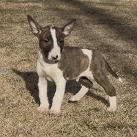 processed/7f0fa155-48fc-4603-ab86-5825409da97c/listing/e67fb41d-3689-41b9-a9e7-e4d2c5376357/56498923-eaf0-44bd-8dfb-3ab219d9062f