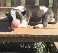 processed/7f0fa155-48fc-4603-ab86-5825409da97c/listing/e67fb41d-3689-41b9-a9e7-e4d2c5376357/59276422-84ec-48c5-b106-321afc471636