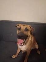 processed/7f1a5710-bc4c-4e3f-b8e4-0009c4acb90e/listing/6fb6dea5-7b23-48c7-8563-9f0d013e06e9/5a93e1b4-04c0-4e2f-a049-140fafb3881e