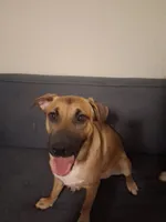 processed/7f1a5710-bc4c-4e3f-b8e4-0009c4acb90e/listing/6fb6dea5-7b23-48c7-8563-9f0d013e06e9/7fbbaab0-14e9-4936-a777-8627d0c092f4