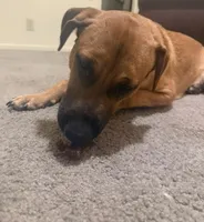 processed/7f1a5710-bc4c-4e3f-b8e4-0009c4acb90e/listing/6fb6dea5-7b23-48c7-8563-9f0d013e06e9/f19b866e-9eca-4773-8718-133fc3f812b8