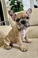 processed/7f22c49e-c4a9-44e5-8387-605681be4b4e/listing/a5f19a90-6ab0-458d-b9b6-aa9b36dae690/29972acc-ce2d-4702-bcb4-0ca7d15e2a01