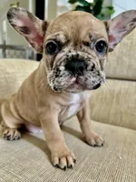 processed/7f22c49e-c4a9-44e5-8387-605681be4b4e/listing/a5f19a90-6ab0-458d-b9b6-aa9b36dae690/2aa29a98-9282-4aa1-a2b3-322435c69d3b