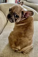 processed/7f22c49e-c4a9-44e5-8387-605681be4b4e/listing/a5f19a90-6ab0-458d-b9b6-aa9b36dae690/2baa48a6-1c8c-487e-951d-b33628cf2253