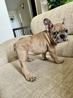 processed/7f22c49e-c4a9-44e5-8387-605681be4b4e/listing/a5f19a90-6ab0-458d-b9b6-aa9b36dae690/3057bb87-47a7-4d1d-ac71-a4c851f83f6d