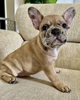 processed/7f22c49e-c4a9-44e5-8387-605681be4b4e/listing/a5f19a90-6ab0-458d-b9b6-aa9b36dae690/7e735f9a-7454-4fcd-85ac-db48e2d100d7