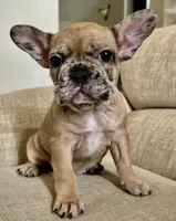 processed/7f22c49e-c4a9-44e5-8387-605681be4b4e/listing/a5f19a90-6ab0-458d-b9b6-aa9b36dae690/de29ff9e-1fad-465c-a410-cf01bbdce043