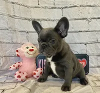 processed/7f25cfe3-800e-4b69-b449-e97ee0fb7ceb/listing/de90cfcf-e07a-4223-840e-c10cc8d8b2af/0a464122-98e3-4fb2-ae44-5a5046cb5090