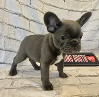 processed/7f25cfe3-800e-4b69-b449-e97ee0fb7ceb/listing/de90cfcf-e07a-4223-840e-c10cc8d8b2af/235978b6-3e12-42a7-ae69-d21e1c31df4c