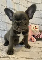 processed/7f25cfe3-800e-4b69-b449-e97ee0fb7ceb/listing/de90cfcf-e07a-4223-840e-c10cc8d8b2af/34fe0574-b468-41f3-a077-07289a1ae494