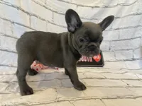 processed/7f25cfe3-800e-4b69-b449-e97ee0fb7ceb/listing/de90cfcf-e07a-4223-840e-c10cc8d8b2af/3712b825-6caa-4441-8b00-0d2f196e7ec4