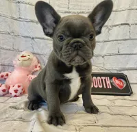 processed/7f25cfe3-800e-4b69-b449-e97ee0fb7ceb/listing/de90cfcf-e07a-4223-840e-c10cc8d8b2af/5c3b9b8b-6db0-4fe8-bb48-07d58a1f23a3