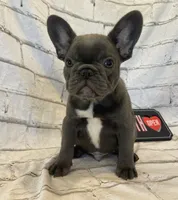 processed/7f25cfe3-800e-4b69-b449-e97ee0fb7ceb/listing/de90cfcf-e07a-4223-840e-c10cc8d8b2af/662175fb-983e-49bd-aead-7e5567f84a2f