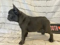 processed/7f25cfe3-800e-4b69-b449-e97ee0fb7ceb/listing/de90cfcf-e07a-4223-840e-c10cc8d8b2af/6b1c6cf0-79dd-4968-a83b-24596c54033d