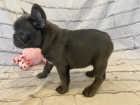 processed/7f25cfe3-800e-4b69-b449-e97ee0fb7ceb/listing/de90cfcf-e07a-4223-840e-c10cc8d8b2af/9a719be2-3e72-4927-b97d-986094937e5d