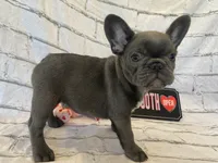 processed/7f25cfe3-800e-4b69-b449-e97ee0fb7ceb/listing/de90cfcf-e07a-4223-840e-c10cc8d8b2af/bb7def5c-1380-4d9c-86b5-42e73e2cb377