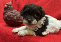 processed/7f292ced-b861-4fd1-bb1c-a832d935571f/listing/1a0cd0b6-7c92-4b14-be8f-aa88382013a0/48876df8-87fc-4ca7-867a-faec13d5190b