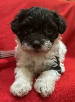 processed/7f292ced-b861-4fd1-bb1c-a832d935571f/listing/1a0cd0b6-7c92-4b14-be8f-aa88382013a0/6cdaa4b1-e09b-416c-8fc6-5a741e5b7ccd