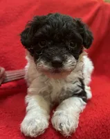 processed/7f292ced-b861-4fd1-bb1c-a832d935571f/listing/1a0cd0b6-7c92-4b14-be8f-aa88382013a0/d394d414-9ebc-41b9-9bbf-6587f014f80a