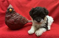 processed/7f292ced-b861-4fd1-bb1c-a832d935571f/listing/1a0cd0b6-7c92-4b14-be8f-aa88382013a0/e138e791-c98d-4500-826c-c559afc2cab5