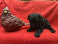 processed/7f292ced-b861-4fd1-bb1c-a832d935571f/listing/c9136470-f654-43ee-b6b1-72b0947171ee/73bb27eb-570c-41e6-9f68-a11f3ceecd81