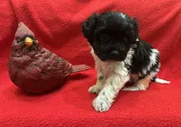 processed/7f292ced-b861-4fd1-bb1c-a832d935571f/listing/e54ef76b-2e0c-47ed-af4f-798f392e879a/0bc98c64-89be-4db9-9b53-c96198d577d6