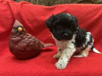 processed/7f292ced-b861-4fd1-bb1c-a832d935571f/listing/e54ef76b-2e0c-47ed-af4f-798f392e879a/3eaa987f-111b-4098-bd74-71d8affe5733