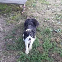 processed/7f2a1431-8d77-42cd-be46-3f59b6c86f29/facility/7e482be8-0fe6-44ba-8fd1-2d7f2f9ab5dd