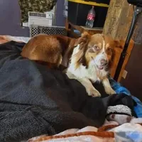 processed/7f2a1431-8d77-42cd-be46-3f59b6c86f29/facility/edf8322d-8956-4ecc-a886-49cc1c19753f