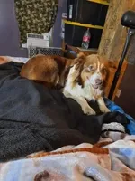 processed/7f2a1431-8d77-42cd-be46-3f59b6c86f29/facility/edf8322d-8956-4ecc-a886-49cc1c19753f