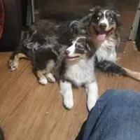 processed/7f2a1431-8d77-42cd-be46-3f59b6c86f29/facility/f8151617-2c71-43f0-b429-7773d44d0197