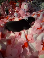 processed/7f2a1431-8d77-42cd-be46-3f59b6c86f29/listing/4a718f07-b932-456a-9530-02e948659662/0aec5afd-d398-4726-a623-c30bc0461698