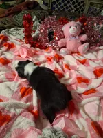 processed/7f2a1431-8d77-42cd-be46-3f59b6c86f29/listing/4a718f07-b932-456a-9530-02e948659662/2bb53fcd-970f-44e9-b178-be036b018d3c