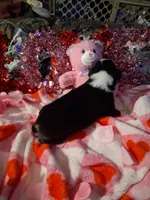 processed/7f2a1431-8d77-42cd-be46-3f59b6c86f29/listing/4a718f07-b932-456a-9530-02e948659662/d0d66578-02d0-48e0-9ea5-78c95ff8adc1