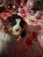 processed/7f2a1431-8d77-42cd-be46-3f59b6c86f29/listing/4a718f07-b932-456a-9530-02e948659662/da993e81-9f29-4052-a72e-6d74a4eabcf1