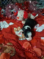 processed/7f2a1431-8d77-42cd-be46-3f59b6c86f29/listing/6e3e5bed-b7ea-4e13-9582-0e0de2002ac0/bc67d5f8-1c95-4b0f-a511-8ba45b33625a