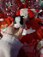 processed/7f2a1431-8d77-42cd-be46-3f59b6c86f29/listing/6e3e5bed-b7ea-4e13-9582-0e0de2002ac0/c6227e20-12f4-4fe6-9a26-7d69fef9ca1f