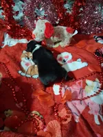 processed/7f2a1431-8d77-42cd-be46-3f59b6c86f29/listing/6e3e5bed-b7ea-4e13-9582-0e0de2002ac0/db7edcaa-bde9-4816-9c82-983174e97a1b