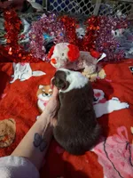 processed/7f2a1431-8d77-42cd-be46-3f59b6c86f29/listing/6f5141c3-e02e-4ddc-bdc2-8ae8cf2a000b/5d6d63e0-c844-40ce-bb60-7bc787c968fa